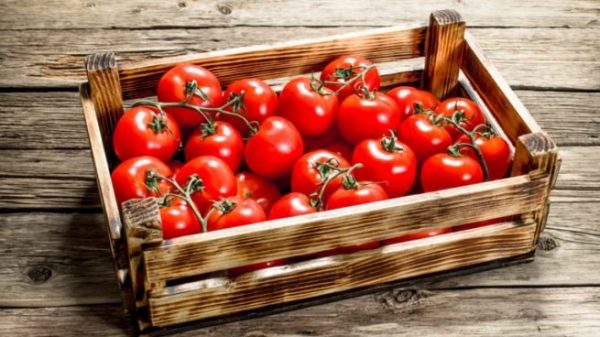 Lote de tomates en una caja de madera en Madrid