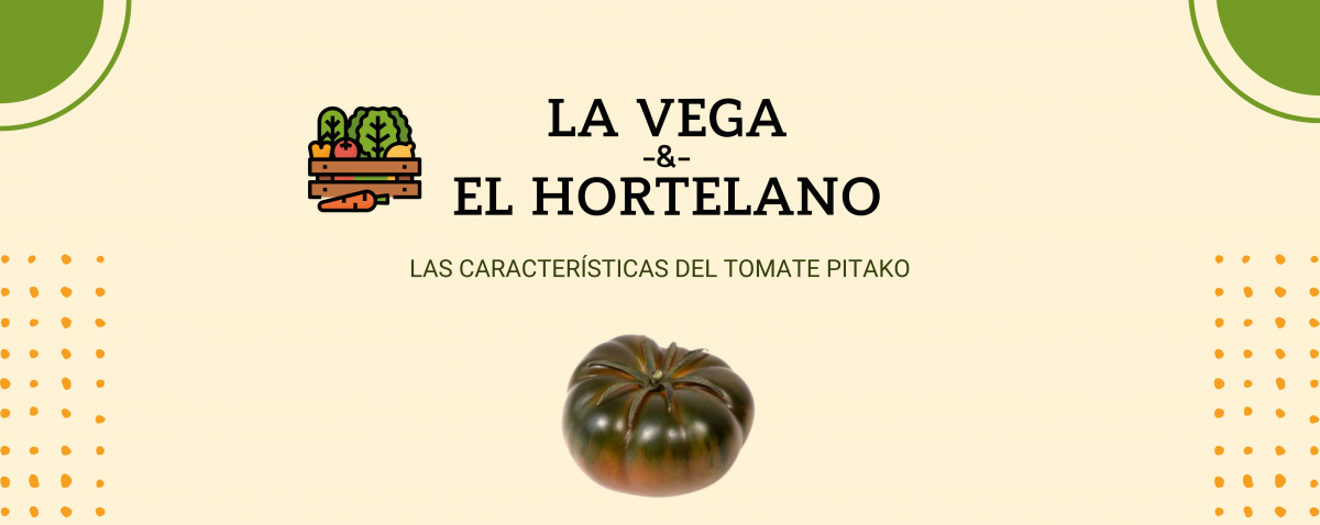 Banner para el blog sobre tomate pitako