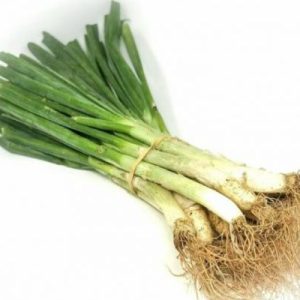 Calçots frescos