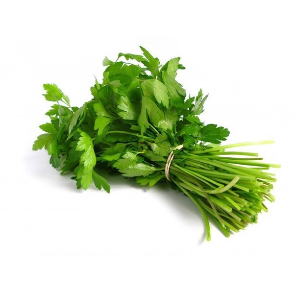 MANOJO CILANTRO FRESCO